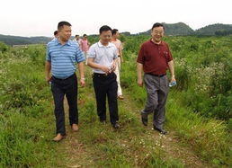 省林業廳領導蒞臨我州指導花卉基地建設與營林工作